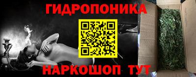 ешки Гай