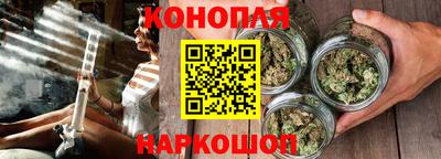 ешки Гай