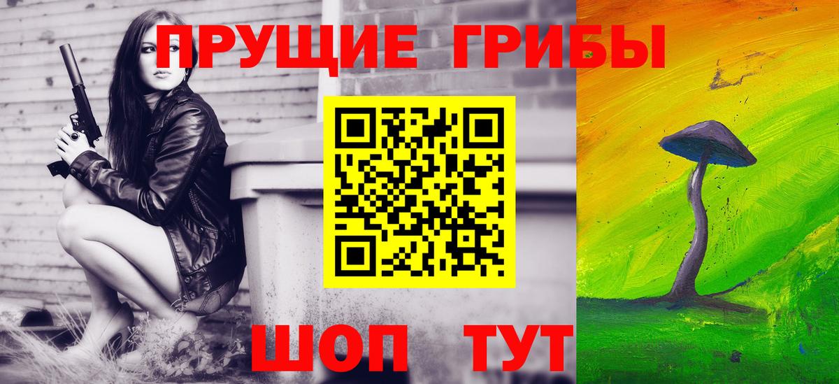 Галлюциногенные грибы GOLDEN TEACHER  Вход с VPN  где можно купить наркотик  Родники  Галлюциногенные грибы Psilocybe 